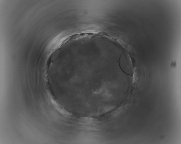 X0000114180339200910221718