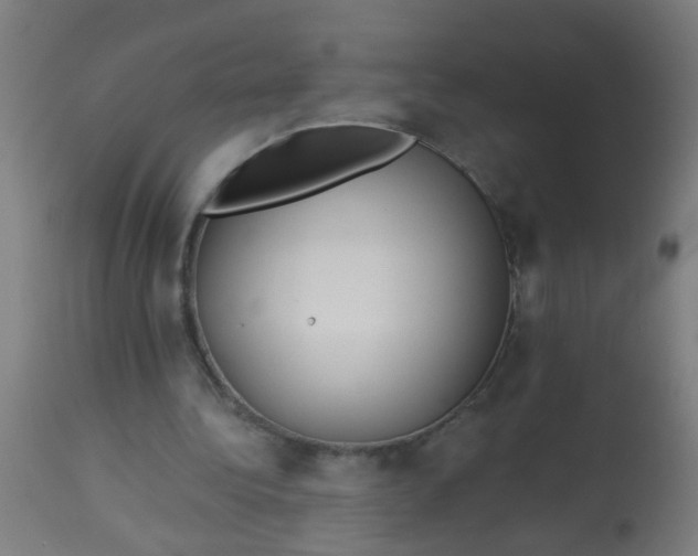 X0000114180340200910221718