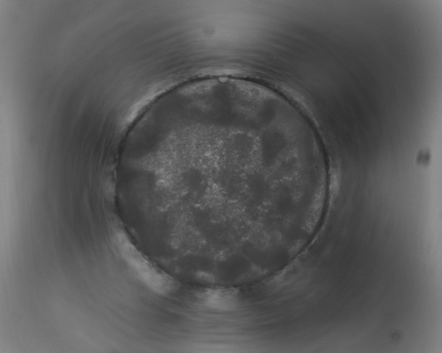 X0000114180345200910221718