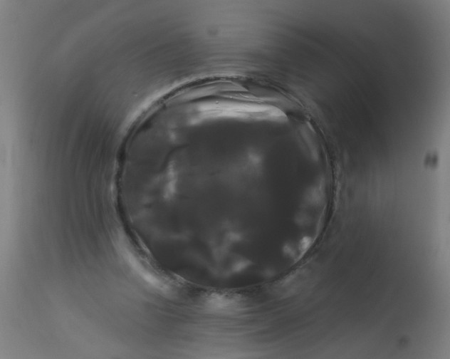 X0000114180346200910221718