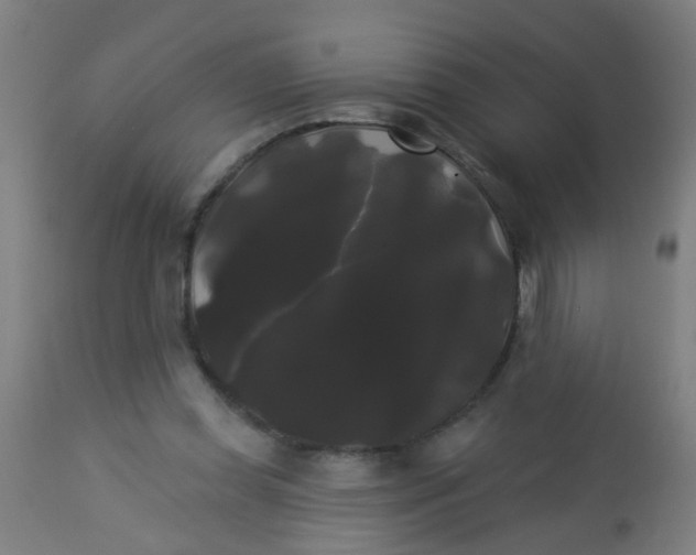 X0000114180349200910221718