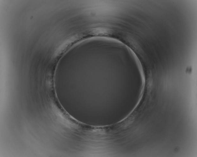 X0000114180353200910221718