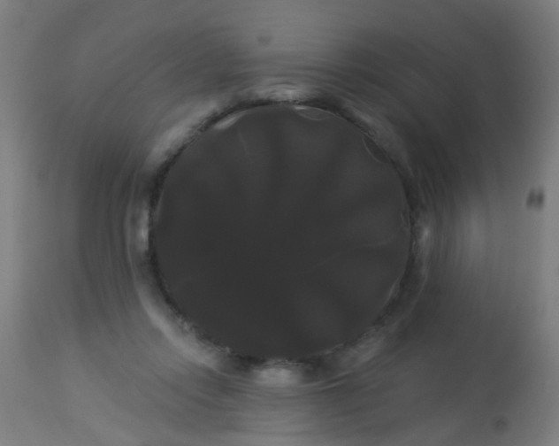 X0000114180358200910221718