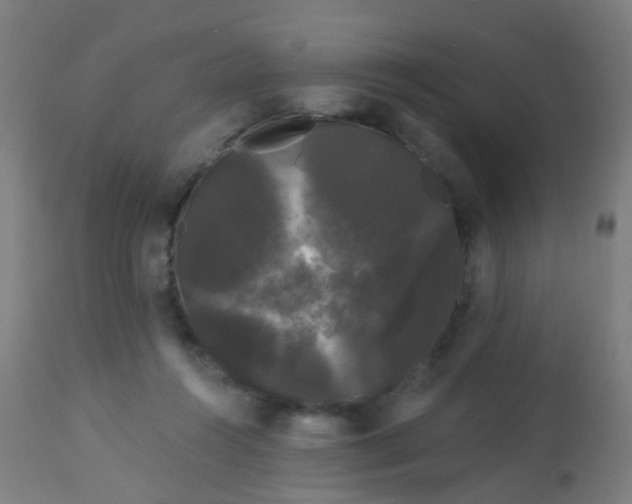 X0000114180360200910221718