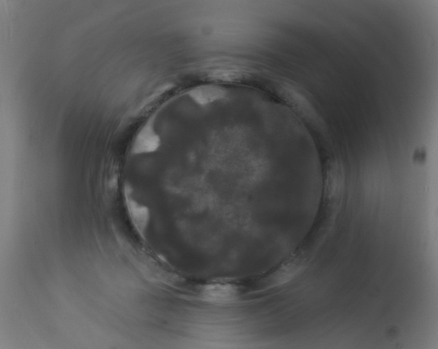 X0000114180363200910221718