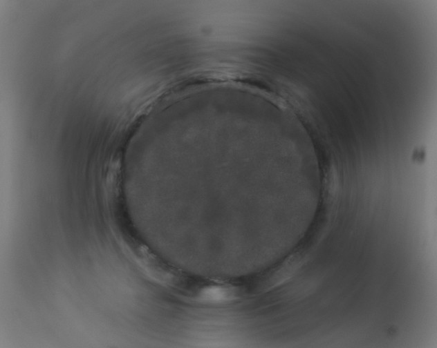 X0000114180364200910221718