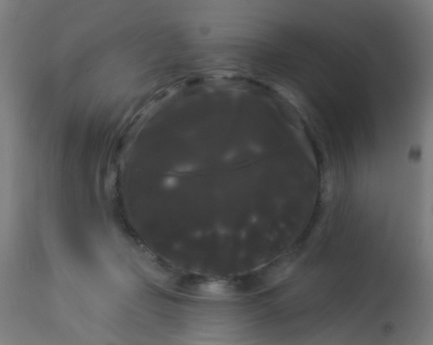 X0000114180365200910221718