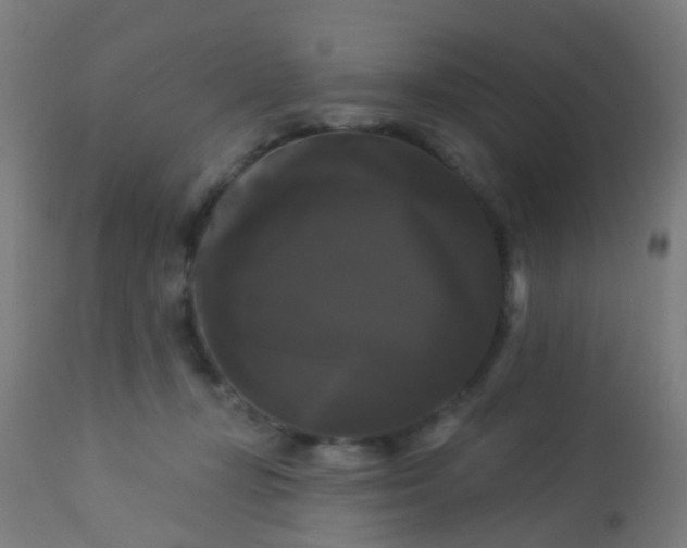 X0000114180367200910221718