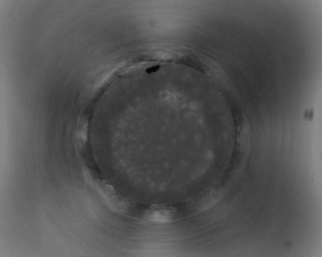 X0000114180368200910221718