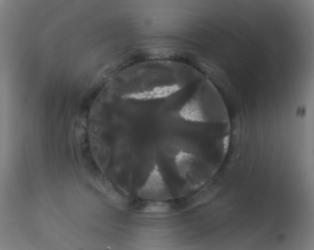 X0000114180369200910221718