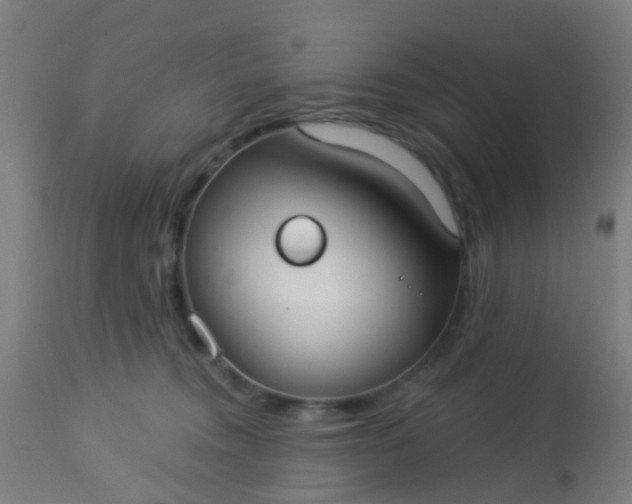 X0000114180372200910221718