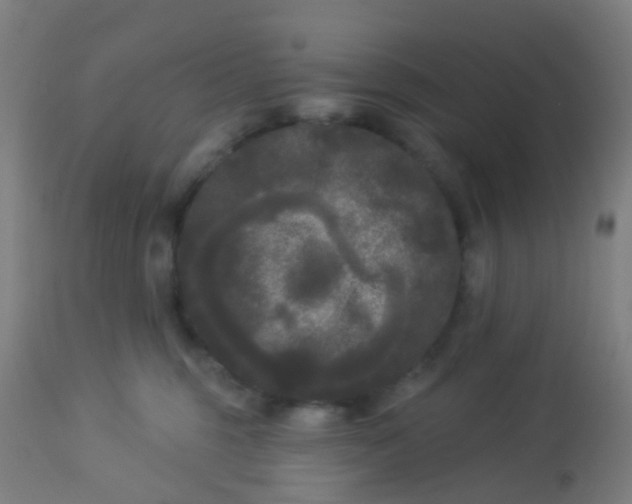 X0000114180375200910221718