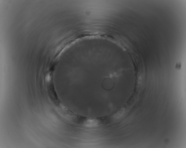 X0000114180376200910221718