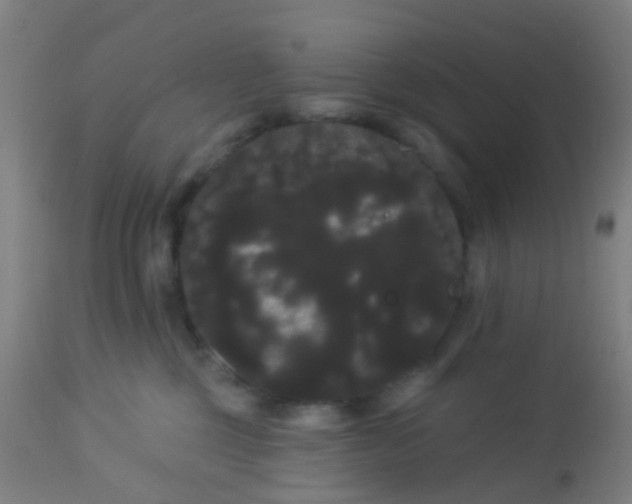 X0000114180377200910221718