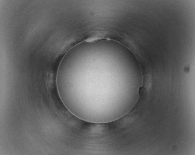 X0000114180378200910221718