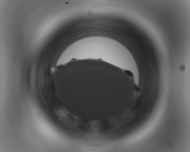 X0000114180382200910221718