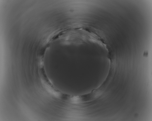 X0000114180383200910221718