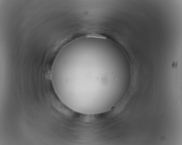 X0000114180384200910221719