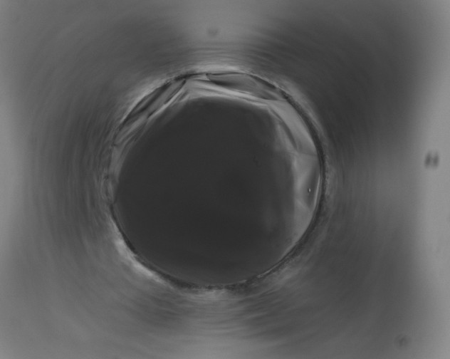 X0000114180385200910221718