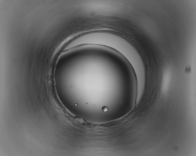 X0000114180387200910221718