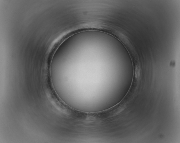 X0000114180388200910221718