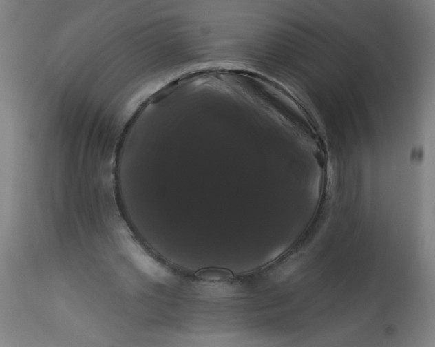 X0000114180389200910221718