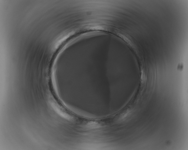 X0000114180390200910221718