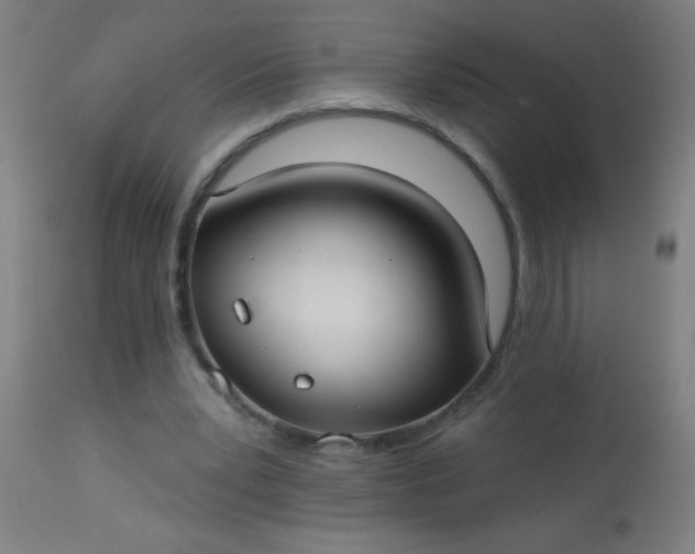 X0000114180391200910221718