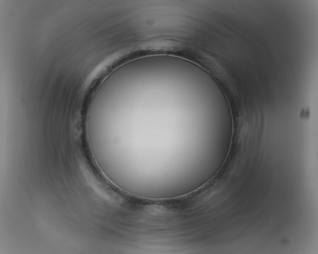 X0000114180392200910221718