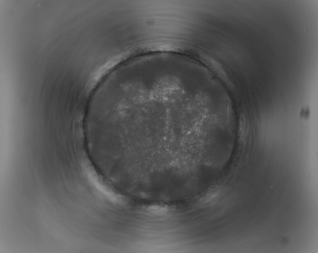 X0000114180394200910221718