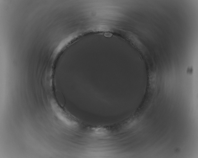 X0000114180395200910221718