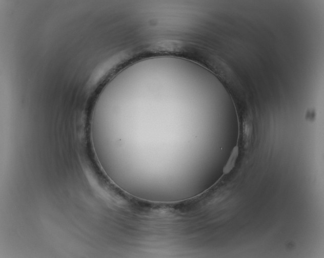 X0000114180396200910221718