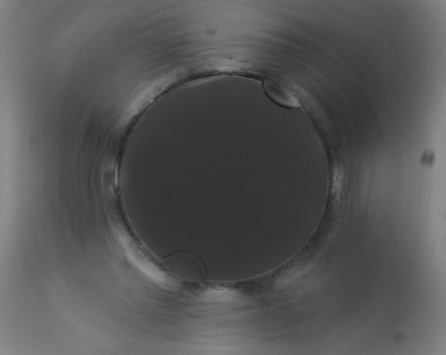 X0000114180397200910221718