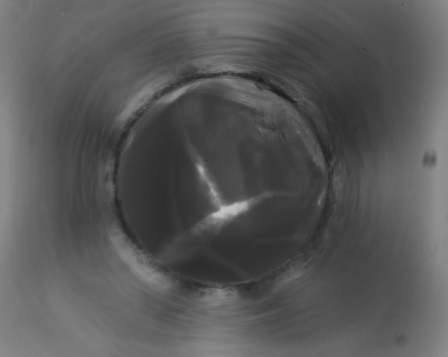 X0000114180398200910221718