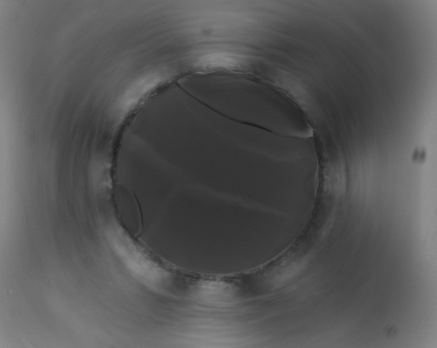 X0000114180399200910221718