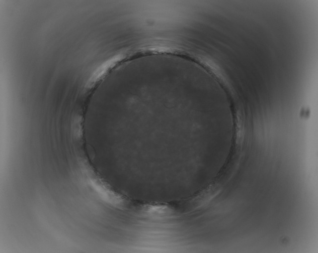 X0000114180401200910221718