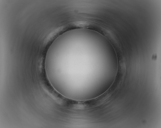 X0000114180404200910221718