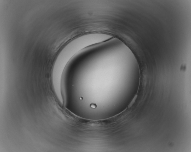 X0000114180405200910221718