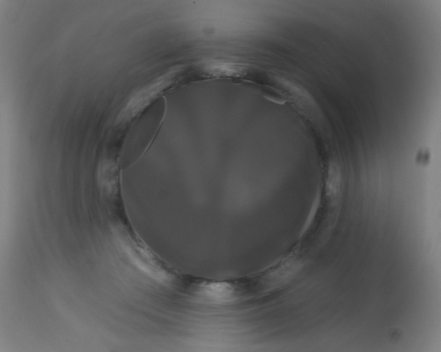 X0000114180409200910221718