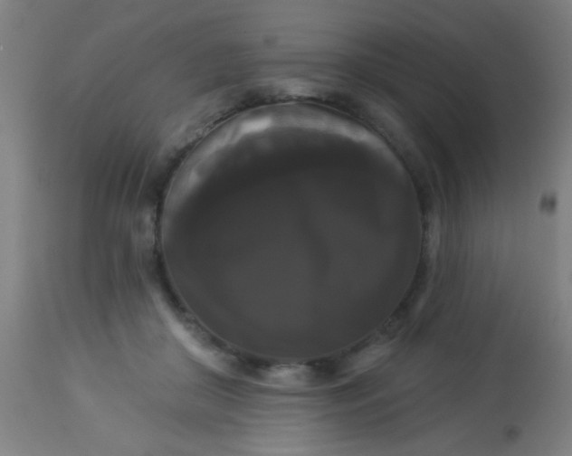 X0000114180410200910221718