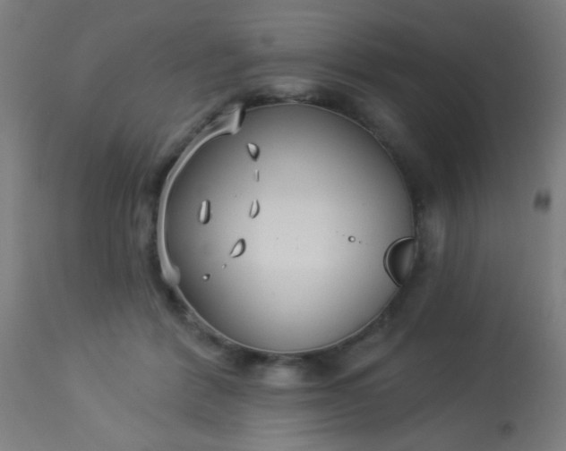 X0000114180412200910221717