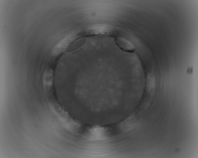 X0000114180413200910221717