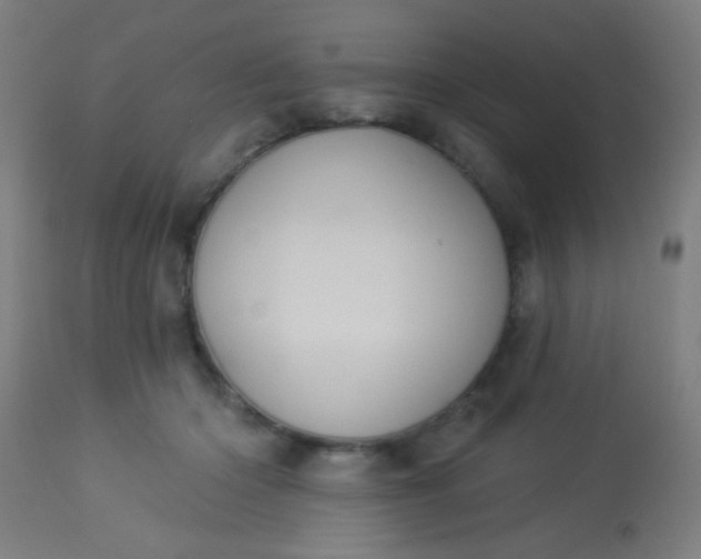 X0000114180414200910221717