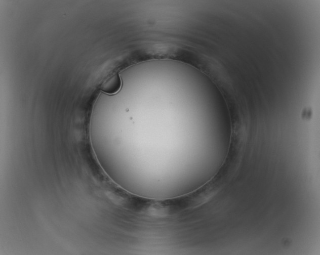 X0000114180416200910221717