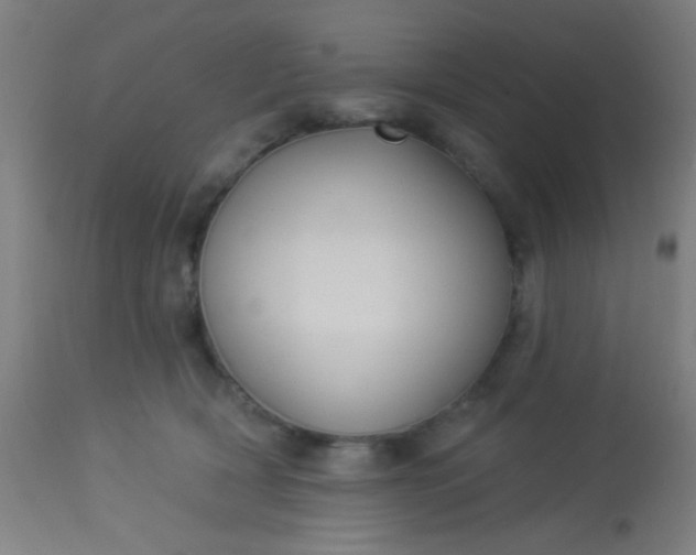 X0000114180418200910221717