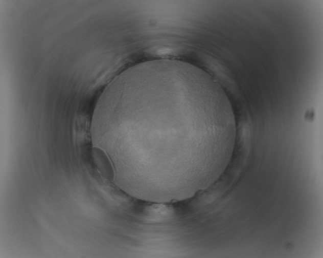 X0000114180421200910221717