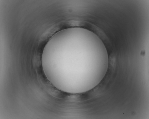 X0000114180422200910221717