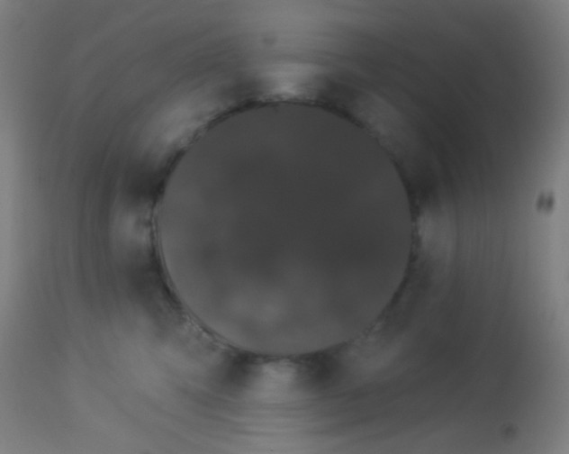 X0000114180423200910221717