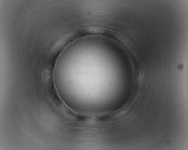 X0000114180424200910221717