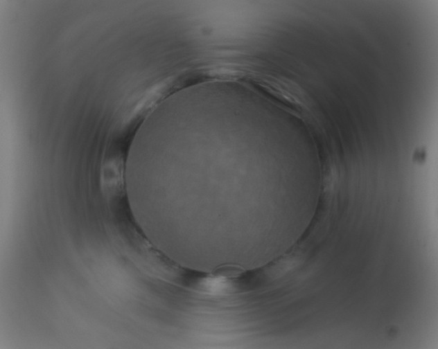 X0000114180425200910221717